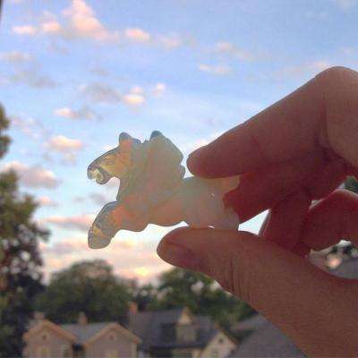 快盈lV购彩大厅